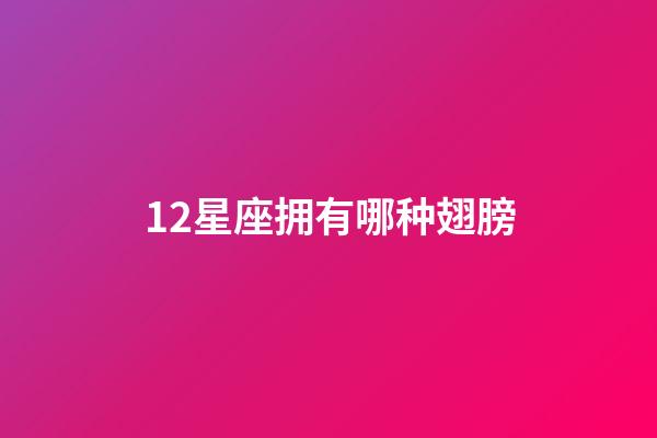 12星座拥有哪种翅膀-第1张-星座运势-玄机派