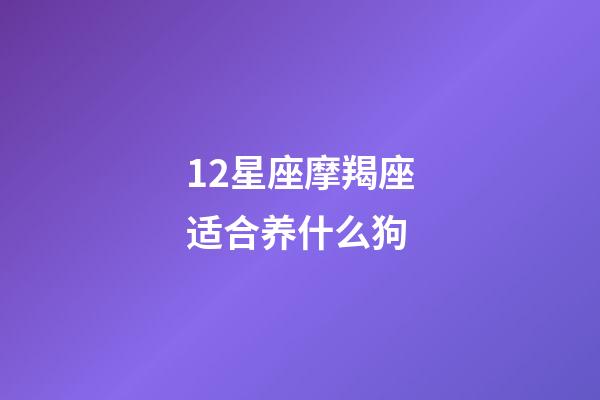 12星座摩羯座适合养什么狗-第1张-星座运势-玄机派