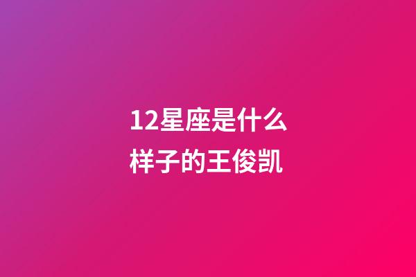 12星座是什么样子的王俊凯-第1张-星座运势-玄机派