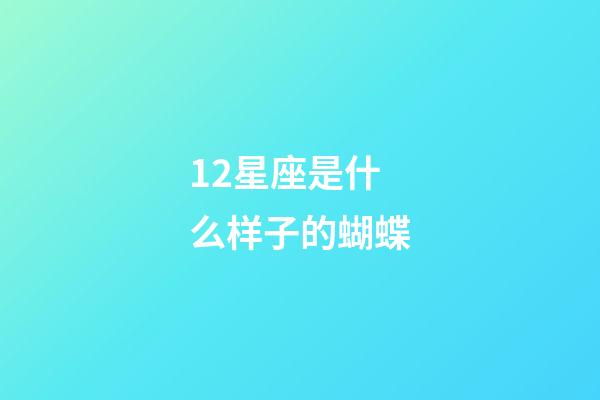 12星座是什么样子的蝴蝶-第1张-星座运势-玄机派