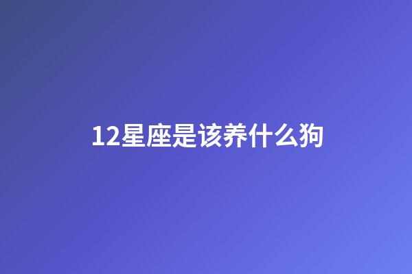 12星座是该养什么狗-第1张-星座运势-玄机派
