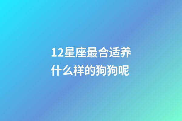 12星座最合适养什么样的狗狗呢-第1张-星座运势-玄机派