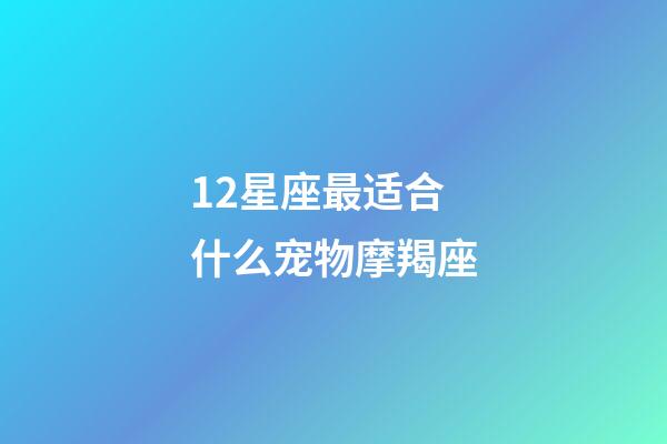 12星座最适合什么宠物摩羯座-第1张-星座运势-玄机派