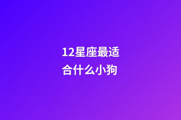 12星座最适合什么小狗-第1张-星座运势-玄机派