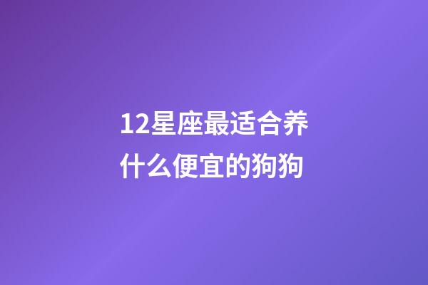 12星座最适合养什么便宜的狗狗-第1张-星座运势-玄机派