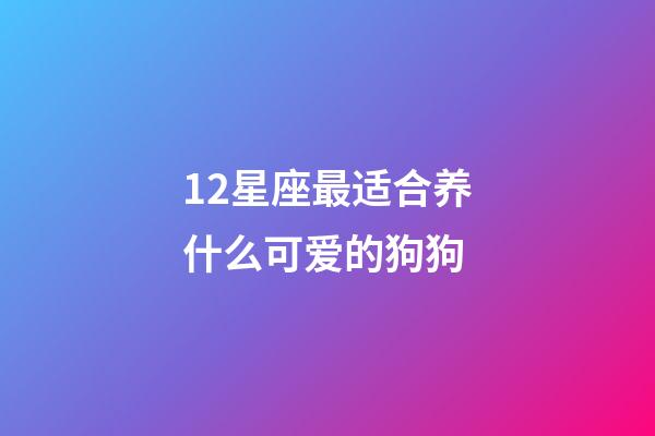 12星座最适合养什么可爱的狗狗-第1张-星座运势-玄机派