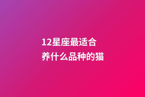 12星座最适合养什么品种的猫-第1张-星座运势-玄机派