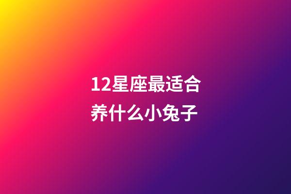 12星座最适合养什么小兔子-第1张-星座运势-玄机派