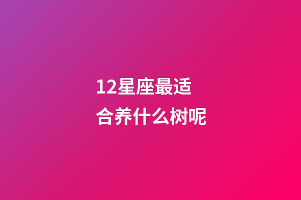 12星座最适合养什么树呢-第1张-星座运势-玄机派