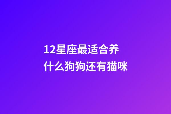 12星座最适合养什么狗狗还有猫咪-第1张-星座运势-玄机派