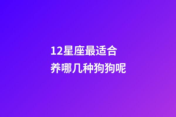 12星座最适合养哪几种狗狗呢-第1张-星座运势-玄机派