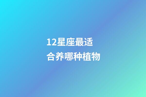 12星座最适合养哪种植物-第1张-星座运势-玄机派