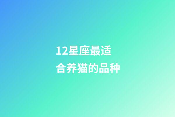 12星座最适合养猫的品种-第1张-星座运势-玄机派