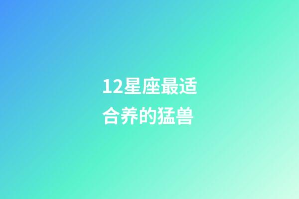 12星座最适合养的猛兽