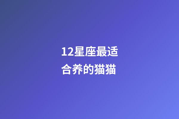 12星座最适合养的猫猫-第1张-星座运势-玄机派