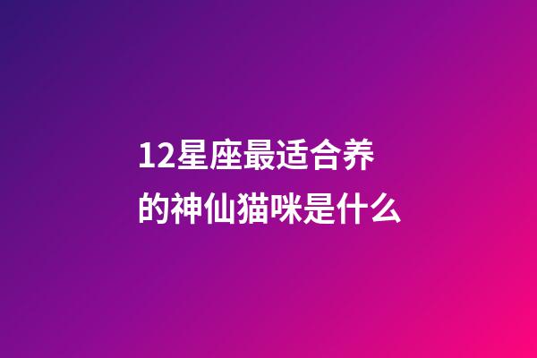 12星座最适合养的神仙猫咪是什么-第1张-星座运势-玄机派