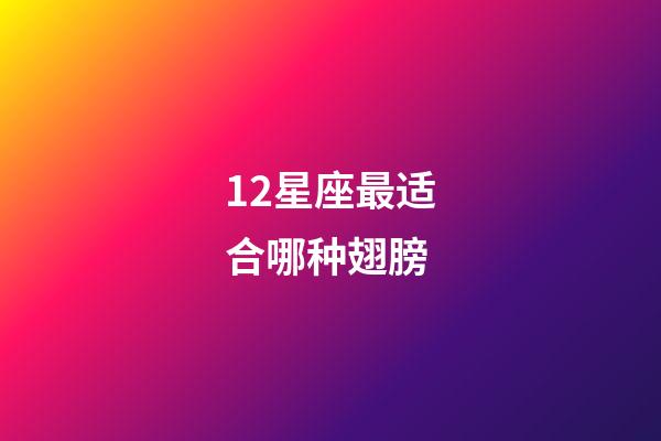 12星座最适合哪种翅膀-第1张-星座运势-玄机派