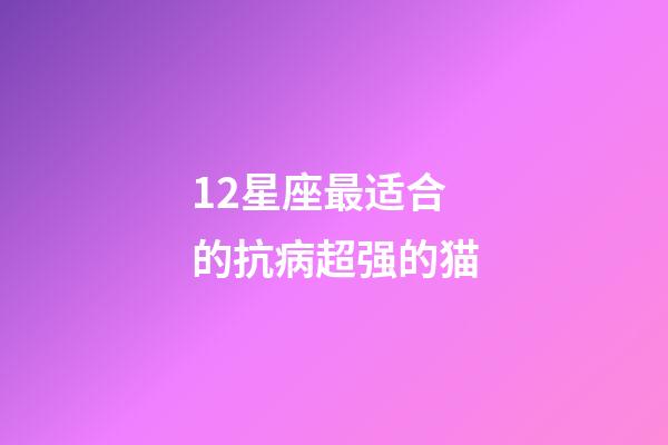 12星座最适合的抗病超强的猫-第1张-星座运势-玄机派