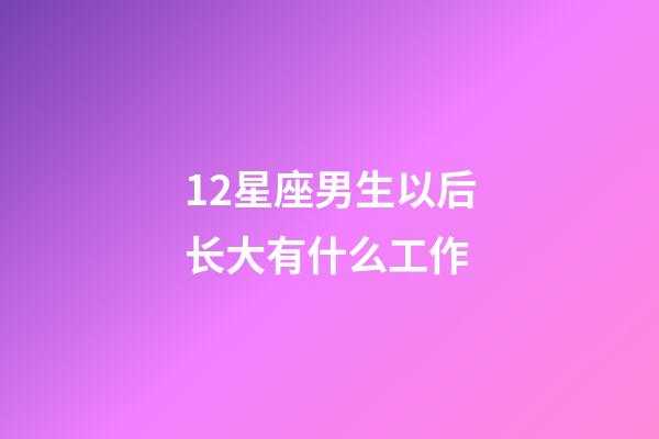 12星座男生以后长大有什么工作-第1张-星座运势-玄机派