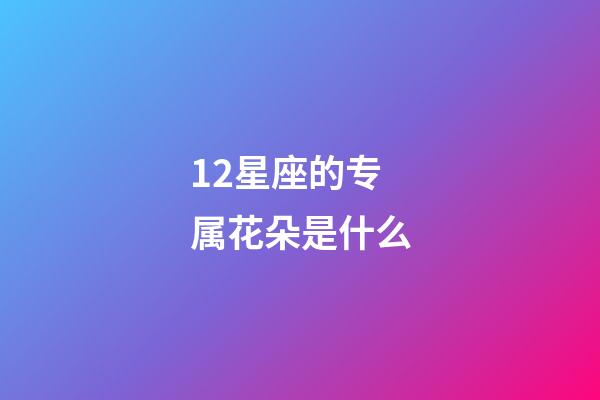 12星座的专属花朵是什么-第1张-星座运势-玄机派