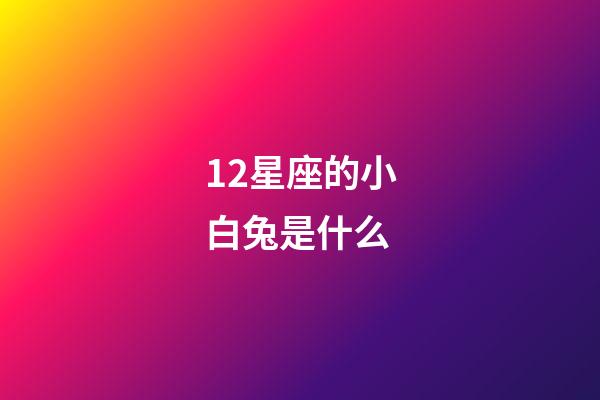 12星座的小白兔是什么-第1张-星座运势-玄机派
