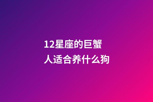 12星座的巨蟹人适合养什么狗-第1张-星座运势-玄机派