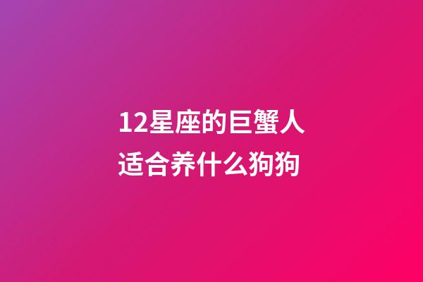 12星座的巨蟹人适合养什么狗狗-第1张-星座运势-玄机派