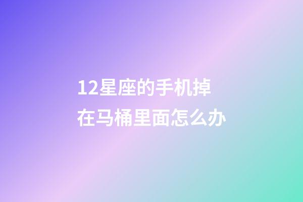 12星座的手机掉在马桶里面怎么办