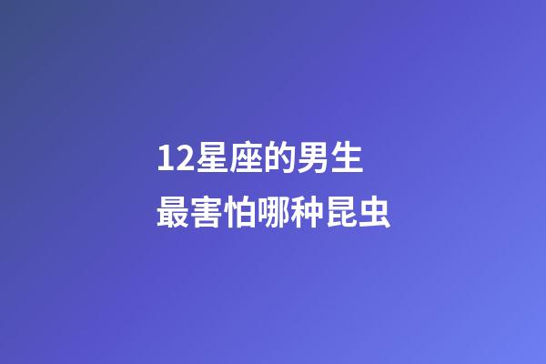 12星座的男生最害怕哪种昆虫-第1张-星座运势-玄机派