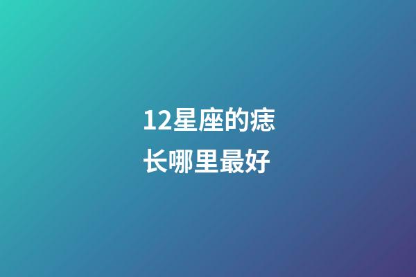 12星座的痣长哪里最好-第1张-星座运势-玄机派