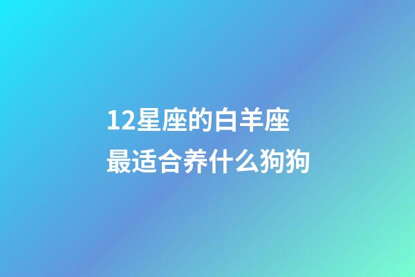 12星座的白羊座最适合养什么狗狗-第1张-星座运势-玄机派
