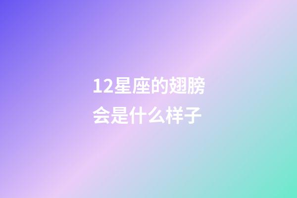12星座的翅膀会是什么样子-第1张-星座运势-玄机派