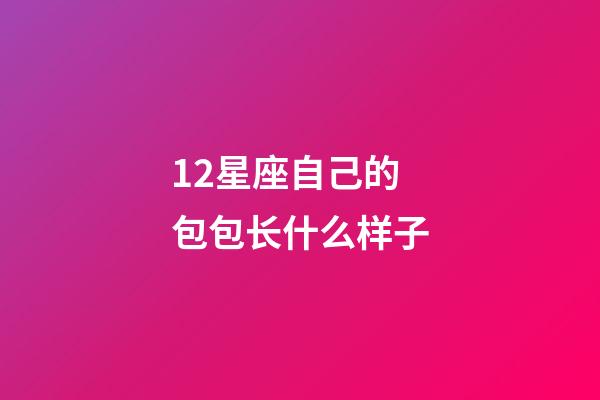 12星座自己的包包长什么样子-第1张-星座运势-玄机派