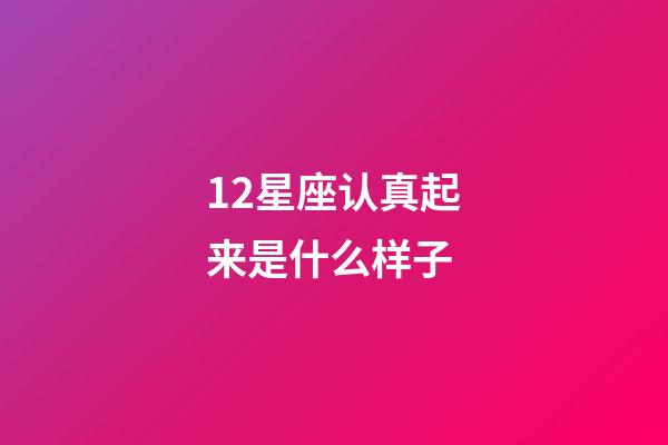 12星座认真起来是什么样子-第1张-星座运势-玄机派