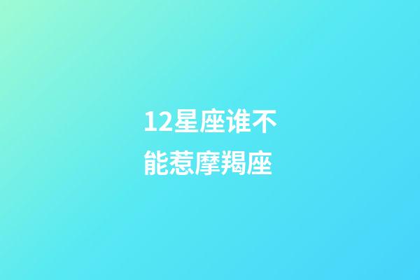 12星座谁不能惹摩羯座-第1张-星座运势-玄机派
