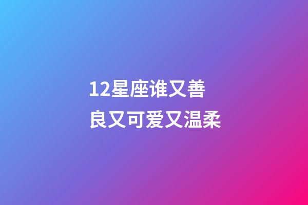 12星座谁又善良又可爱又温柔-第1张-星座运势-玄机派