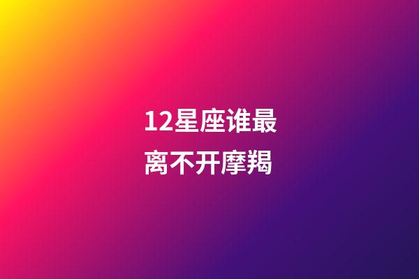 12星座谁最离不开摩羯-第1张-星座运势-玄机派