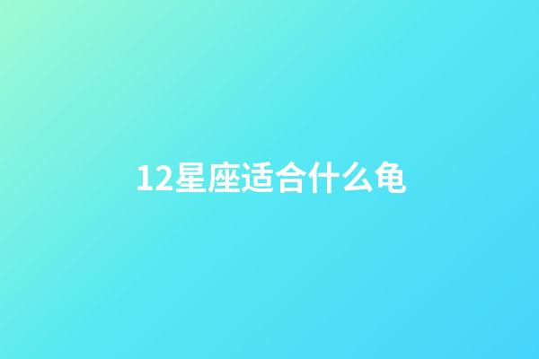 12星座适合什么龟-第1张-星座运势-玄机派