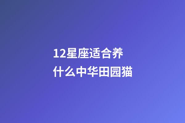12星座适合养什么中华田园猫