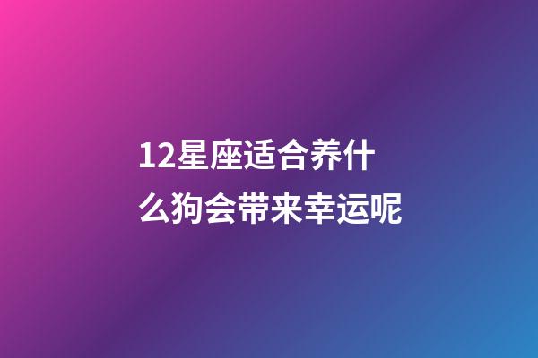 12星座适合养什么狗会带来幸运呢-第1张-星座运势-玄机派