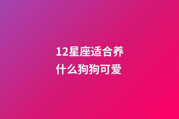 12星座适合养什么狗狗可爱-第1张-星座运势-玄机派