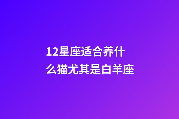 12星座适合养什么猫尤其是白羊座-第1张-星座运势-玄机派