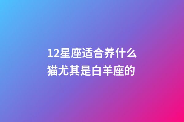 12星座适合养什么猫尤其是白羊座的-第1张-星座运势-玄机派