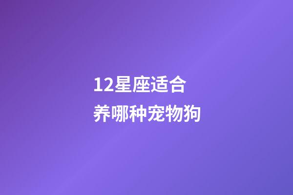 12星座适合养哪种宠物狗-第1张-星座运势-玄机派