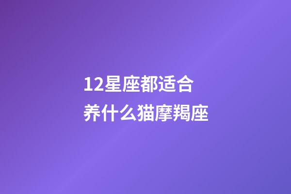 12星座都适合养什么猫摩羯座-第1张-星座运势-玄机派