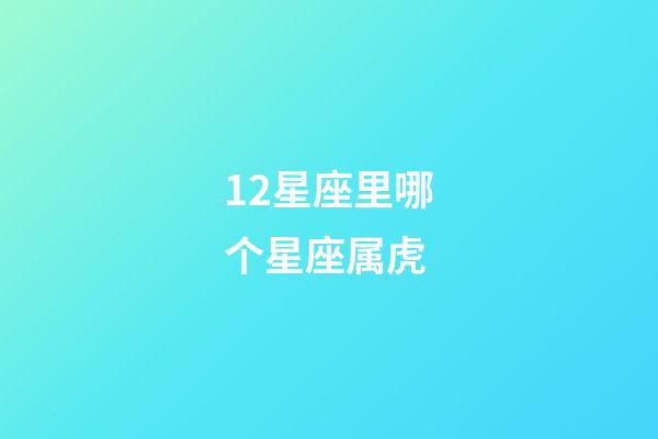 12星座里哪个星座属虎-第1张-星座运势-玄机派