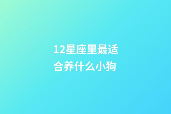 12星座里最适合养什么小狗-第1张-星座运势-玄机派