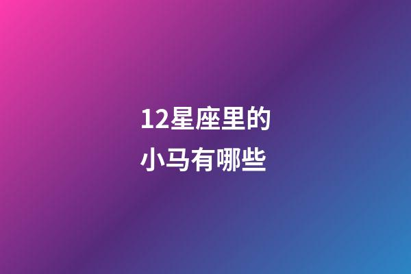 12星座里的小马有哪些-第1张-星座运势-玄机派