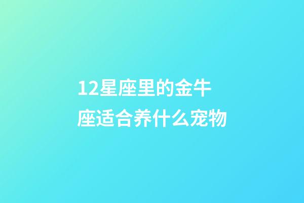 12星座里的金牛座适合养什么宠物-第1张-星座运势-玄机派