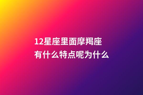 12星座里面摩羯座有什么特点呢为什么-第1张-星座运势-玄机派